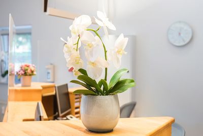 Blumenstrauß